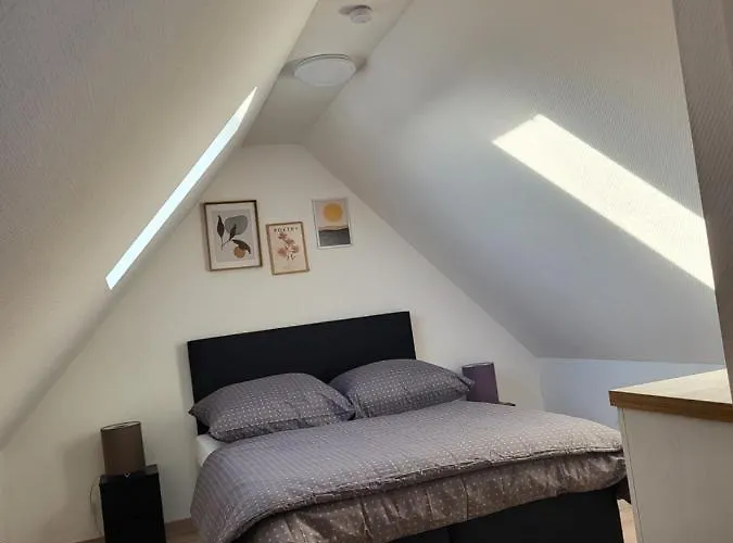 Beautiful Cozy Close To Lakes And Nature Parks *